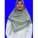 Logo SMP Pelita Harapan